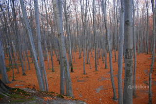 4dfa041b65ca32e6dca3e1207676d493