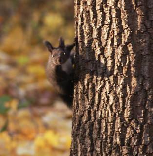 6d228d72793d44c8f1173b92f0106641