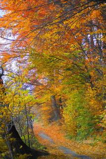 dcb640dab6e58187233f2fb4ae49b5ff